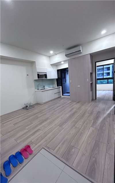 江子翠站帝國花園廣場全新採光三房